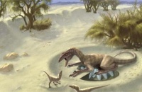 迅猛龙竟有长着翅膀 2015年七大惊人化石发现