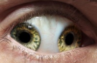 一只眼睛两个瞳孔 是帝王天命的象征吗？
