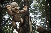 墨西哥现恐怖“娃娃岛” 满树的娃娃令人毛骨悚然！