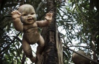 墨西哥娃娃岛 整岛树上挂满血腥娃娃能把人吓哭